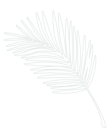 Chloris Garden Paysagiste Mougins Leaf