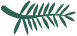 Chloris Garden Paysagiste Mougins Palm 1