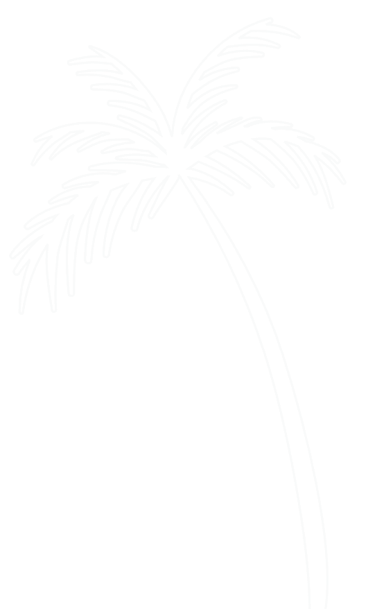 Chloris Garden Paysagiste Mougins Palm Droite 3