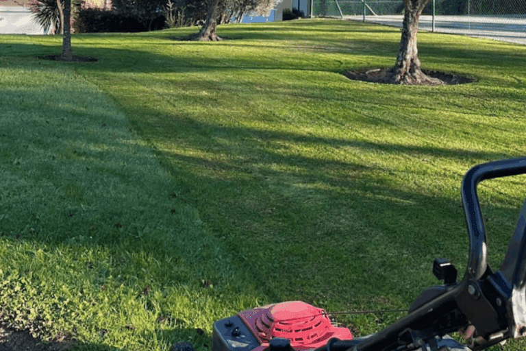 Chloris Garden Paysagiste Mougins 4